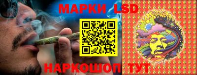 spice Рыбинск