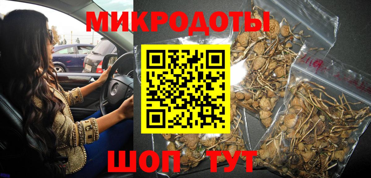 Галлюциногенные грибы ЛСД  Вход с VPN  Рузаевка 