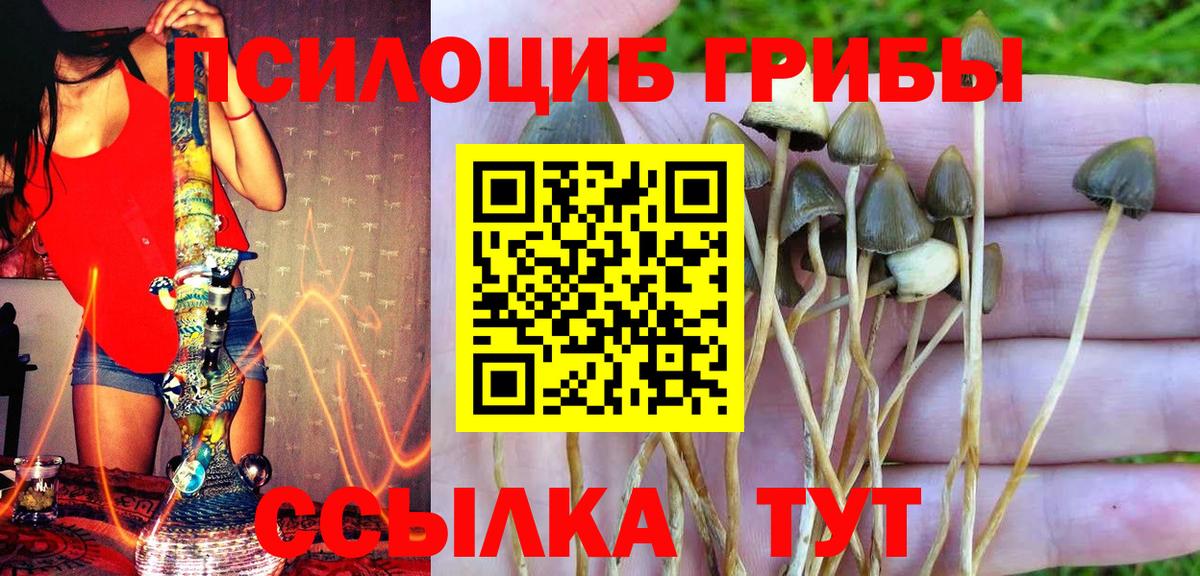 Галлюциногенные грибы MAGIC MUSHROOMS Рузаевка